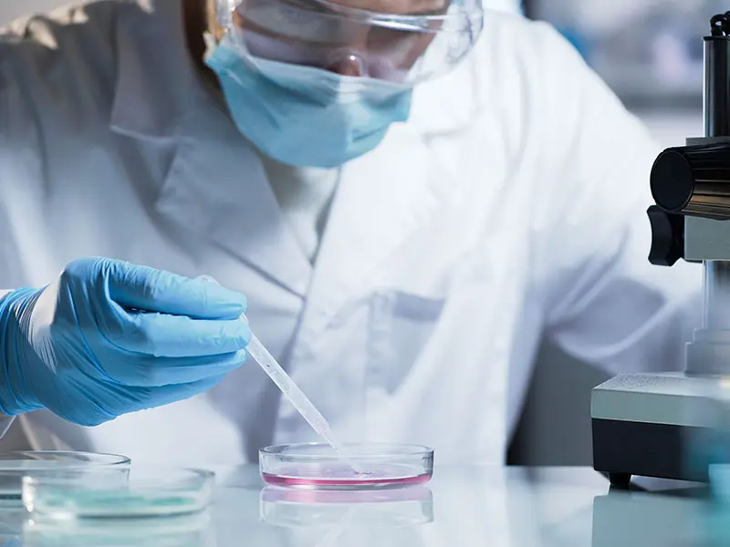 Life Sciences
